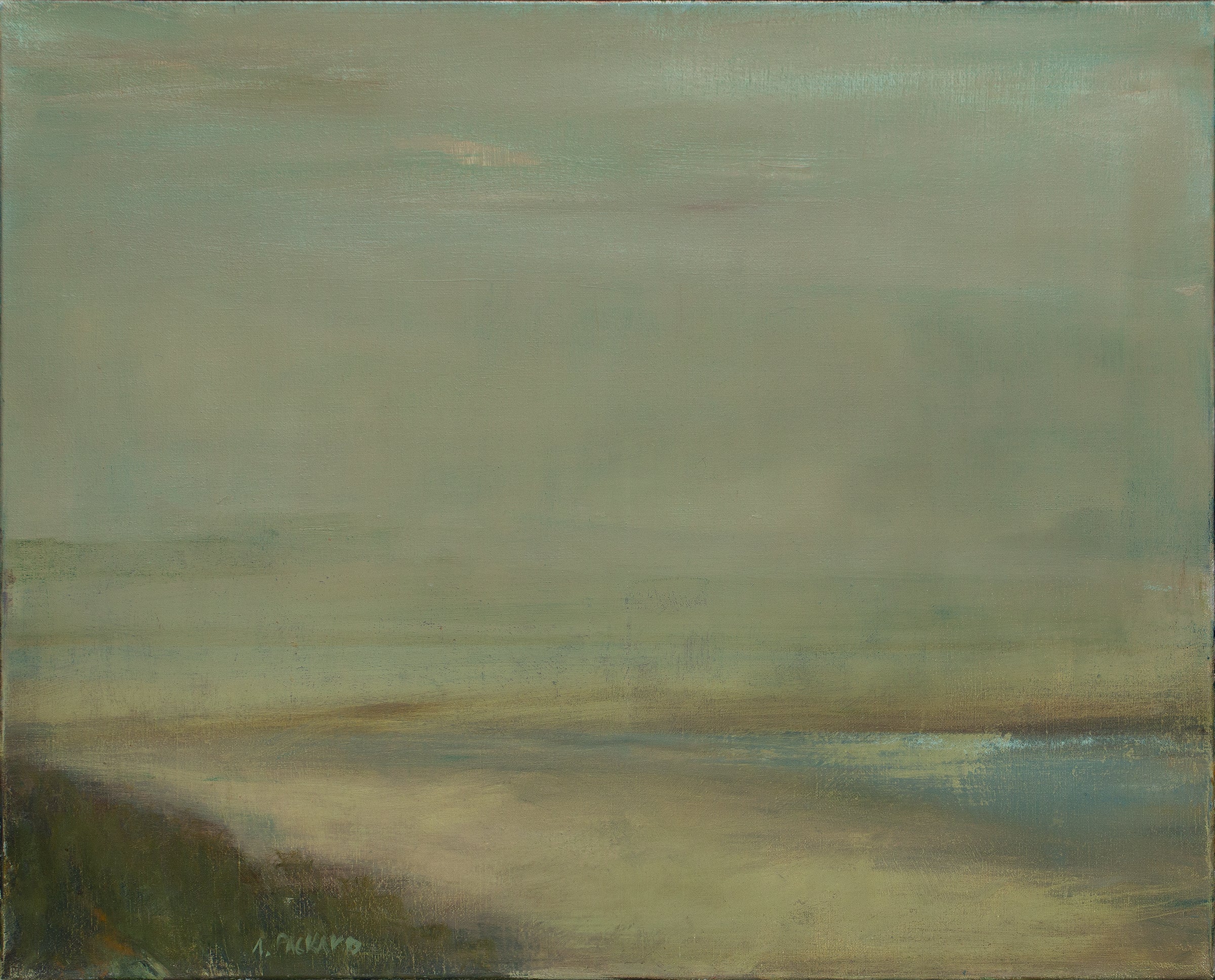 Faded Horizon