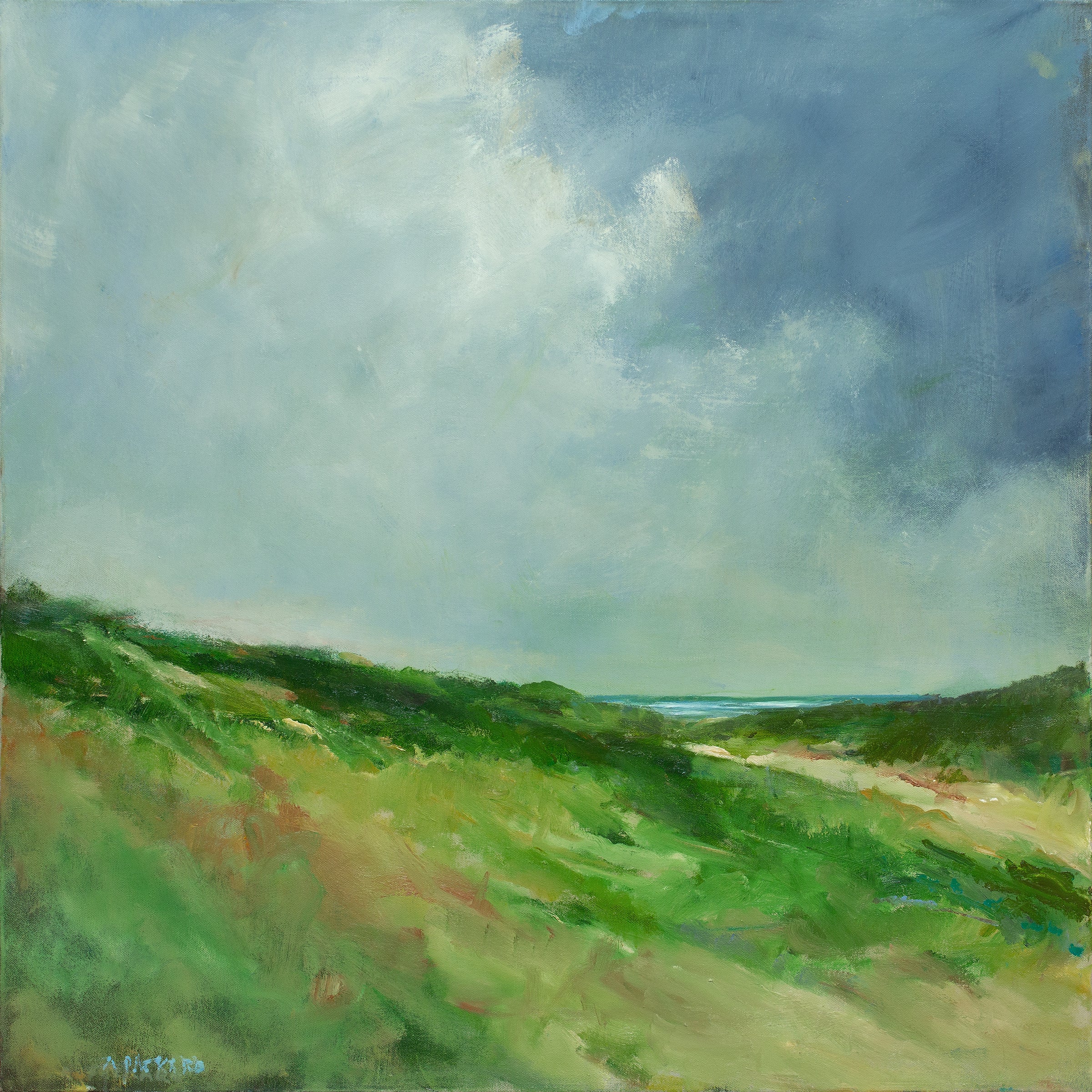Outer Beach Dunes